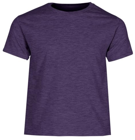 Fruit of the Loom Childrens/Kids Iconic T-Shirt (12-13 Years) (Heather Purple)