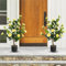 TANGZON 3FT/95CM Artificial Camellia Tree, 1/2 Pack Faux Blooming Floral Plant with 24 Flowers, 186 Green Leaves & Pebble Pot, Indoor Outdoor Decorative Fake Potted Camellia Plant (Yellow, 2 Packs)