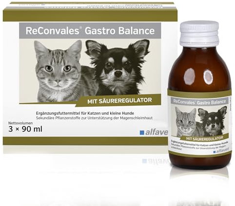 alfavet, ReConvales Gastro Balance für Katze und Hund, zur Pflege der Magenschleimhaut mit Säureregulator, Ergänzungsfuttermittel, 3 x 90 ml