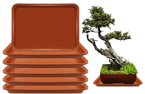 Lot de 6 soucoupes rectangulaires pour pots de 20 cm – Bac d'égouttement pour intérieur et extérieur – Bac à eau en plastique (terre cuite, 31,8 x 22,9 cm, 30,5 cm, 6 pièces)