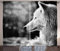 ABAKUHAUS Schwarz und weiß Rustikaler Vorhang, Wolf-Porträt, Wohnzimmer Universalband Gardinen mit Schlaufen und Haken, 280 x 225 cm, Hellgrau