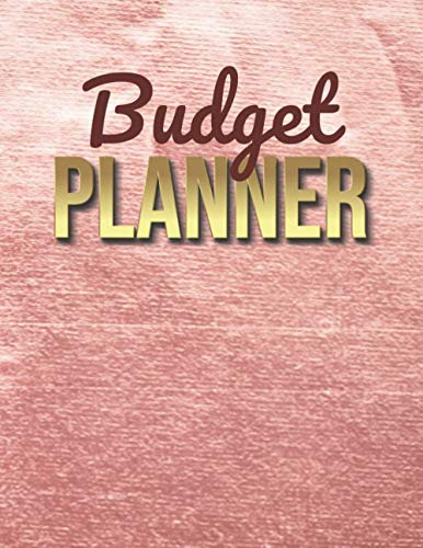 Budget Planner: Minimal Rose Gold Velvet Texture Cover / Undated / Daily Weekly Monthly Money Organizer / 1 Year Spending Tracker / Personal Finance ... Size / Full Size Diary - Non Dated Pages