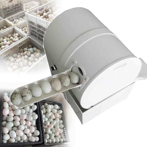 Geflügel Egg Waschmaschine und sauberere,kleine Eierwaschmaschine,Automatische Eierwaschmaschine,Oberflächenreinigungsmaschine für Eier