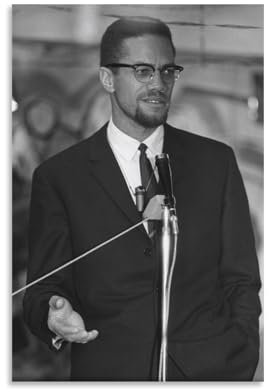 LAIRIBA Leinwandposter, Menschenrechtsaktivist Malcolm_X, sprechendes Retro-Poster, 30 x 45 cm, ungerahmter Stil