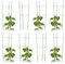 Relaxdays 8X Rankhilfe Tomaten im Set, Höhenverstellbare Ringe, Pflanzstäbe, Balkon, Beet, Kunststoff, 76 cm lang, Grün