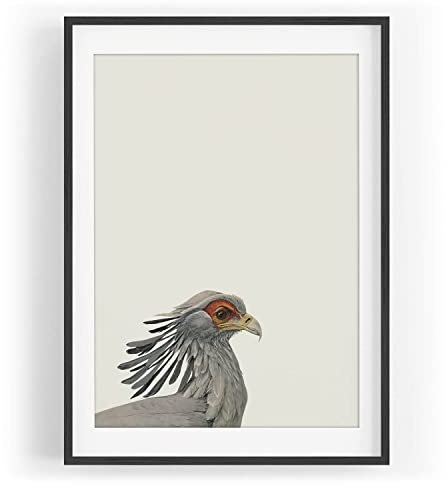 Vogel Motiv Sekretär Vintage Pastelltöne Wasserfarben Kunstvoll Farbe Motiv gerahmt Schwarz in A3