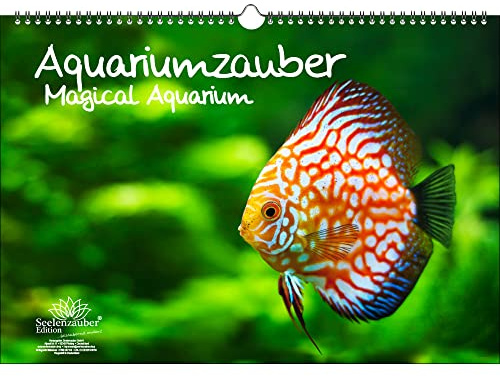Aquariumzauber DIN A3 Immerwährender Kalender Tiere im Aquarium und Unterwasser - Seelenzauber