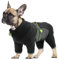 LiebeDD Fleecejacke Hund, Winter Hundejacke Hundemantel Fleece Hundepullover mit Geschirr und Reißverschluss Winddicht Weiche Pyjama für Mittelgroße Hunde Französische Bulldogge Beagle (XS-XXL)