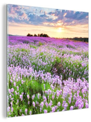 MuchoWow Glasbild Glasfoto Wandbild Bilder Deko 50x50 cm Lavendel - Blumen - Sonnenuntergang - Lila - Wiese