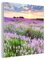 MuchoWow Glasbild Glasfoto Wandbild Bilder Deko 50x50 cm Lavendel - Blumen - Sonnenuntergang - Lila - Wiese