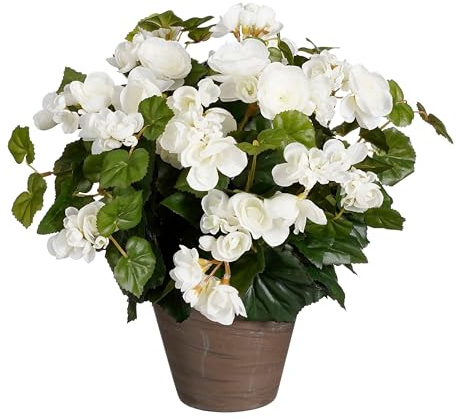 MICA Decorations Begonien Kunstpflanze im Blumentopf Stan - H37 x Ø36 cm - Weiß