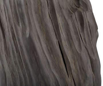 Holz-Bild 90 x 60 cm: Geschnitzte Skulptur von Moor-Eichen auf einem weißen Hintergrund.(130668952)