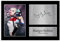 Margot Robbie Suicide Squad Harley Quinn signiertes Poster, Leinwand, Poster, Schlafzimmer, Dekoration, Sport, Landschaft, Büro, Raumdekoration, Geschenk, ungerahmt, 30 x 45 cm