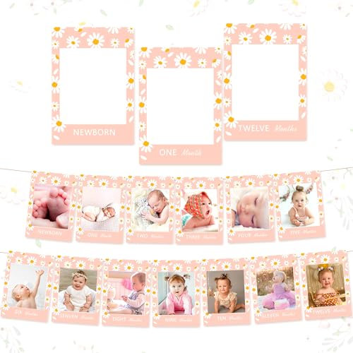 Roaring Good Time Daisy 1st Birthday Party Decoration Daisy 12 Months Photo Banner One Groovy Baby Party Decoration Groovy First Birthday Decoration