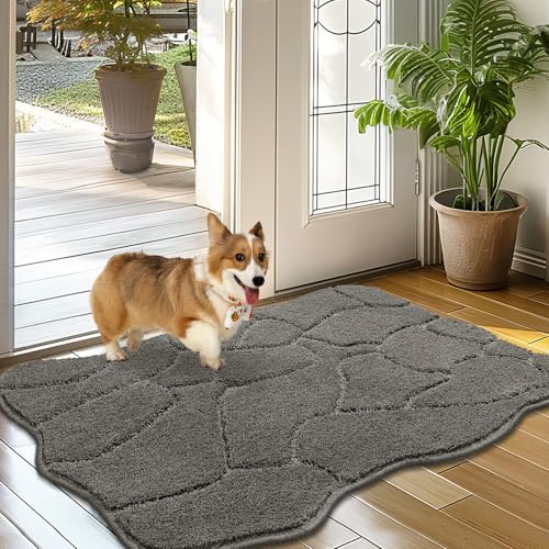 Biscpro Fußmatte Innen Weicher 60 x 90 cm, rutschfeste Waschbar Türmatte, Schmutzfangmatte Sauberlaufmatte,Eingangstürmatte,Fussmatte für Hund, Eingang, Haustür,Flur