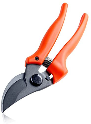 DDNGEJ Garten-Beschneiden-Schere Garten-Schere 8/200mm Blume Cutter Obst Baum Pfropfen Werkzeug Garten