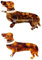 Lot de 2 pinces à cheveux en forme d'animal - Pinces à cheveux antidérapantes personnalisées - Accessoires de bijoux - Accessoires de mode pour filles