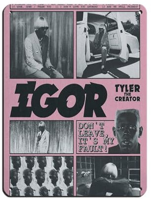 HGEIK Tyler Poster The Creator, Igor-Poster, Blechschild, Vintage, Metall, Pub, Club, Café, Bar, Zuhause, Wandkunst, Dekoration, Poster, Retro, 30 x 40 cm