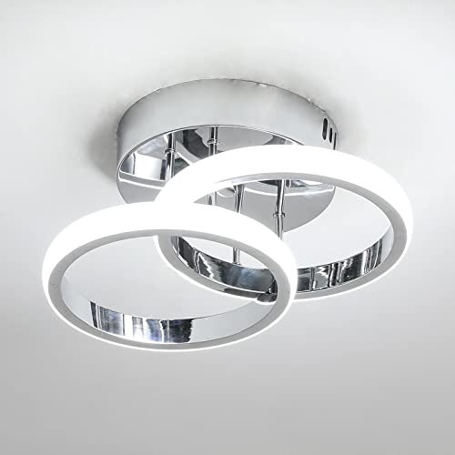 EIDISUNY LED Ceiling Light Modern Light Fixture Ceiling Silver Round Simple Small Ceiling Lamp Cool White Light for Corridor Kitchen Ceiling Light Fixtures Stairs Study Room Bedroom Living Room 22W
