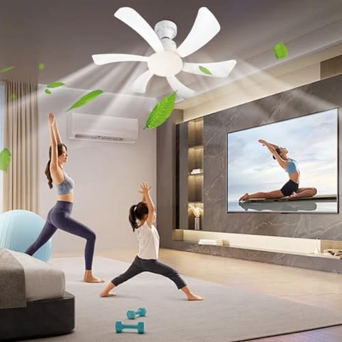 Dasfie Ceiling Fans with Lights and Remote Control - Fan Light Dimmable 3 Colors 30W Quiet Ceiling Fan Lamp with 6 Fan Blade Super Strong Wind - Ideal for Bedroom, Home Office & More! (white1)