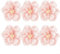 Handgefertigte 3D-Papierblumen (6 Stück), perfekt für die Erhöhung der Atmosphäre bei Feiern (Pfirsichfarbe)
