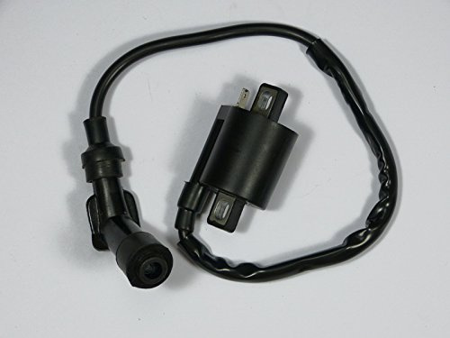 Zündspule Ersatzteil für/kompatibel mit Grizzly YFM 660 + Zündkerzenstecker