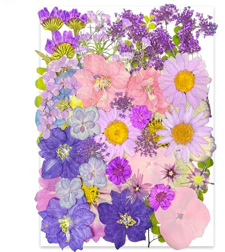 YoothBro 40 Stück violette getrocknete gepresste Blumen für Harzformen, echte natürliche gepresste Blumen für DIY-Kunsthandwerk, Kerzenherstellung, Nageldekoration, Seifenherstellung, Handyhüllen