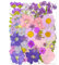 YoothBro Getrocknete Gepresste Blumen für Harzformen, Echte Natürliche Gepresste Blumen für DIY Kunsthandwerk, Kerzenherstellung