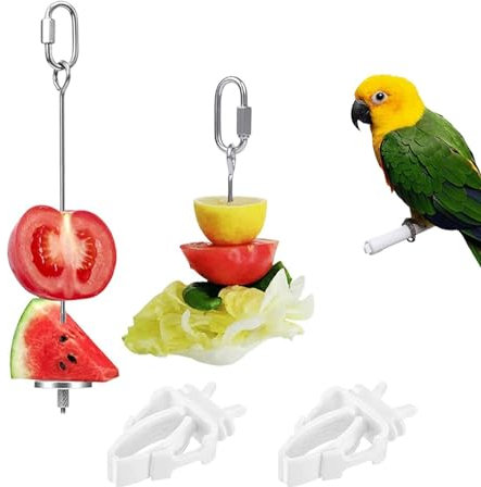 Lot de 2 mangeoires à brochettes en acier inoxydable pour perruches et 2 pinces en plastique pour nourriture pour oiseaux, friandises pour oiseaux, fruits, jouet pour perroquet, perruche, calopsitte