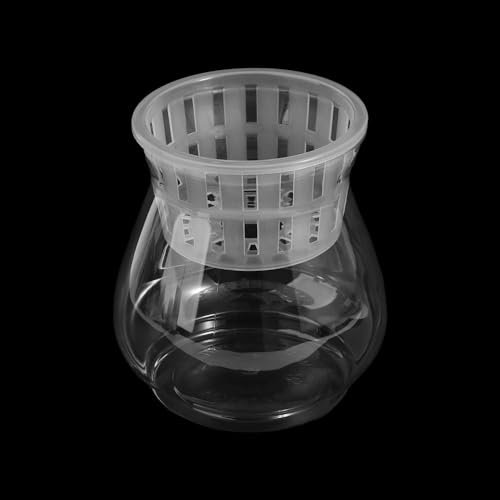 Vaso per piante acquatiche, mini vaso per fiori idroponici, in plastica trasparente trasparente, vaso per piante idroponiche, vaso per casa e ufficio (2)
