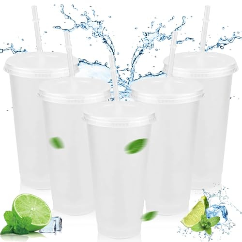 Reusable Clear Cold Cups with Lids and Straws,5 Pcs Iced Water Cups 24oz & BPA Free Plastic Cup,Cold Drinking Tumblers Travel Mugs Custom for Coffee Smoothie Juices Party Bulk for Adult Women