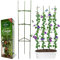 Support de Plantes de Grimpantes, Stable Cage à tomates, Jardin Treillis Grimper légumes & Fleurs et Fruits Grow Cage, Bâtons de Plantes recouverts de Plastique, avec bielle (Un Groupe)