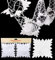 Christmas Concepts® Pack Of 2 9ft Garland Festive Hanging Decorations - Christmas Decorations (WHITE)