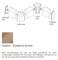 Südbrock | Endkappen und Ecken | 760.11 | Für MDF-Sockelleisten 60x20 mm | PVC | Kunststoff | Nussbaum dunkel | Fußleisten Zubehör | 1 Set