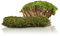 Swell Reptiles Carpet Live Natural Moss Single Pack. For Terrariums And Vivariums
