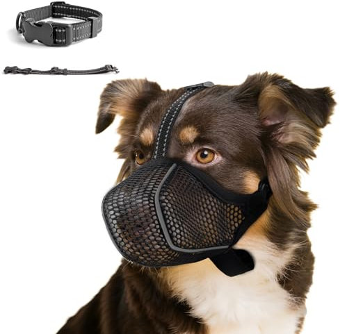 Maulkorb Kleine/Mittlere Hunde,Fressschutz Hund, Verstellbarer Atmungsaktiver Maulkorb für Haustiere,Anti-Kau-Mundschutz für Hunde,Passendes Hundehalsband(S)