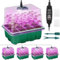 Qoolife Seed Starter Tray with Plant Light 4 Pack Seed Grow Lights Starter Kit with Moisture Domes, Dimmer Timing Controller