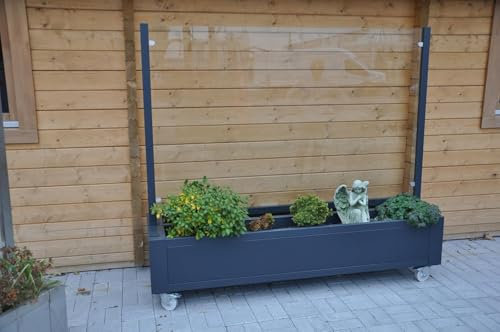 Mobiler Windschutz Pflanzkasten Glas Terrasse - 200cm