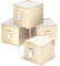 DAMAHOME Fabric Storage Cube Bins, Foldable 13 Inch Cube Storage Bins with Dual Handles and Tags, 4-Pack Collapsible Cubby Organizer for Shelves, Closet, Nursery, Toys, Gold Leopard