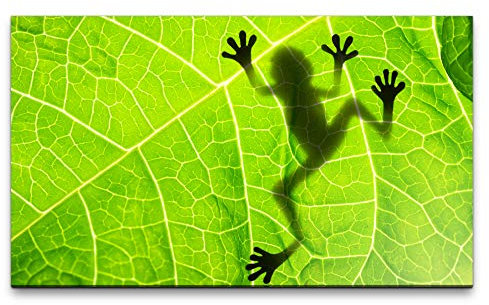 Bilder XXL Frosch hinter einem Blatt 120x70cm Wandbild auf Leinwand