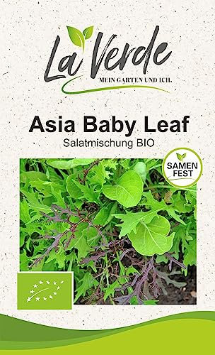 Asia Baby Leaf BIO Salatsamen