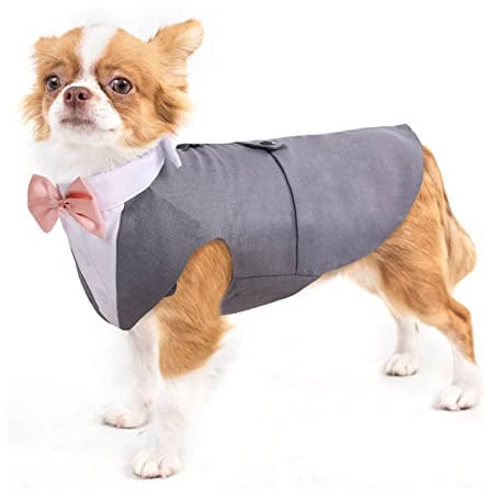 Set di smoking per cani, completo e bandana, abbigliamento formale per animali domestici, camicia formale, costume per matrimoni, festival, Halloween, Natale, compleanno, per cani di taglia piccola