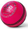 Zipper Junior Cricketball, handgenähtes Leder, Jugend-Cricket-Bälle, 135 g Gewicht