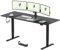 FLEXISPOT Electric Standing Desk Height Adjustable Standing Desk Home Office Desk Black 200x80cm