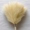 Lot de 20 fleurs artificielles pour décoration, bouquet d'herbe de la pampa artificielle duveteuse pour décoration de fête de mariage, décoration de chambre, décoration d'intérieur, style 3