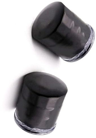 TGVSELPJ Accessori Filtro Filtro Olio 2PCS per Kawasaki KLE 650 KLE650 per Versys 2008 2009 2010 2011 Accessori Moto