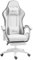 Vinsetto Chaise Gaming Fauteuil Gaming Ergonomique Repose-Pieds télescopique, Dossier inclinable à 135°, Appui-tête réglable et Soutien Lombaire, Fauteuil de Bureau 360° Rotatif en Similicuir, Blanc