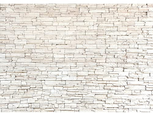 Runa Art Fototapete Steinwand 3D Effekt 352 x 250 cm Vlies Tapeten XXL Moderne Wandtapete Wohnzimmer Schlafzimmer Weiss 9019011c