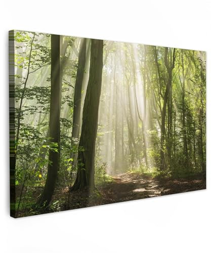 MuchoWow© Leinwandbild 90x60 cm Dekoration Wohnzimmer Bilder Aufhängen Wall Decoration Living Room Wohnungs Deko Moderne Wald - Sonne - Jahreszeiten - Landschaft - Bäume