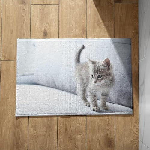 EHOMERY Schmutzfangmatte Orientalisch Türmatte Outdoor Katze Zelt Fußmatte Fussmatte 45x75cm, rutschfeste Dekorative Fußmatte Aus Plüschbaumwolle